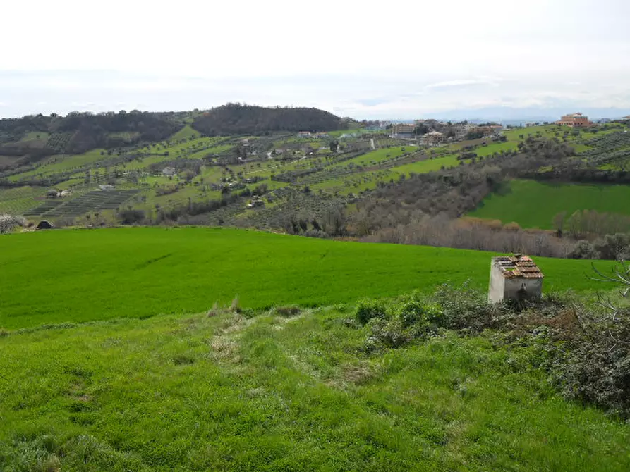 Immagine 12 di Rustico / casale in vendita  in Contrada San Martino a Colonnella
