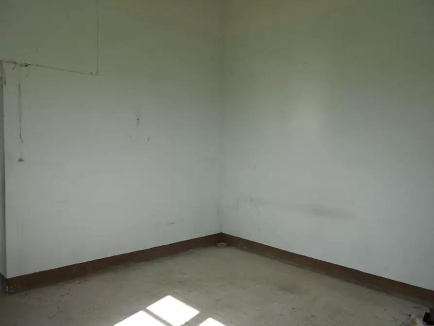 Immagine 17 di Rustico / casale in vendita  in Contrada San Martino a Colonnella