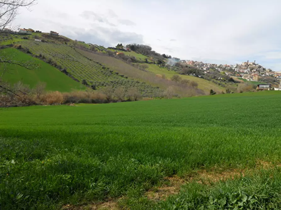 Immagine 3 di Rustico / casale in vendita  in Contrada San Martino a Colonnella
