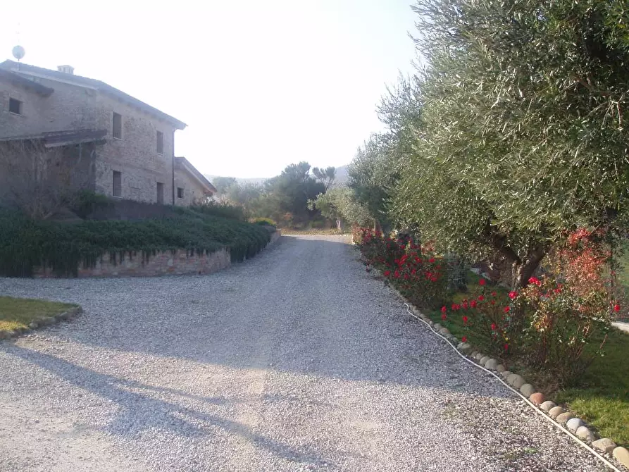 Immagine 6 di Villa in vendita  in Via del semaforo a Martinsicuro