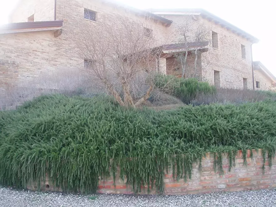 Immagine 9 di Villa in vendita  in Via del semaforo a Martinsicuro