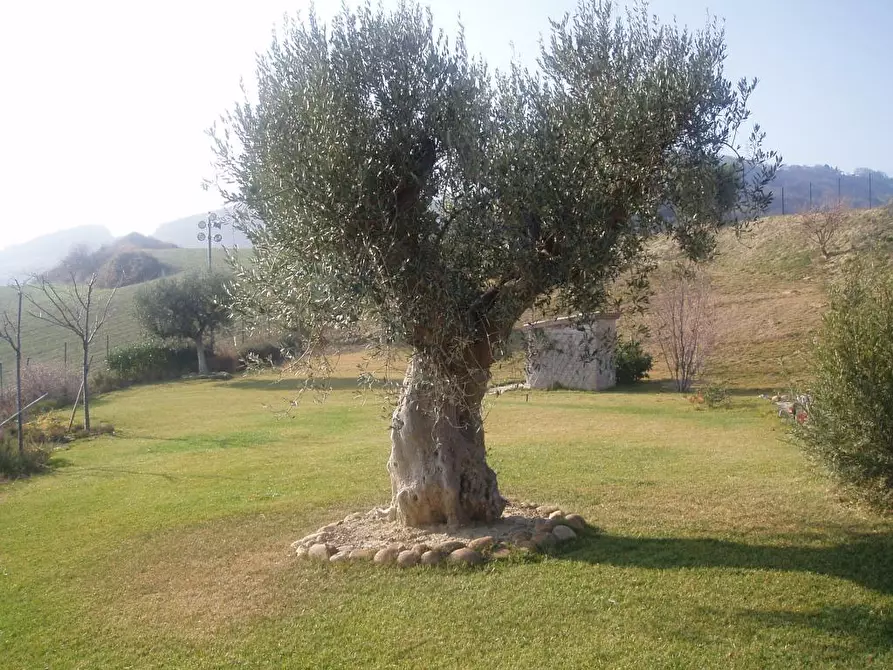 Immagine 17 di Villa in vendita  in Via del semaforo a Martinsicuro