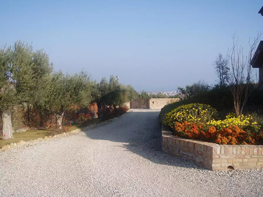 Immagine 22 di Villa in vendita  in Via del semaforo a Martinsicuro