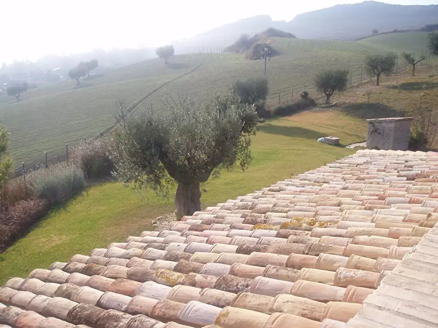 Immagine 23 di Villa in vendita  in Via del semaforo a Martinsicuro