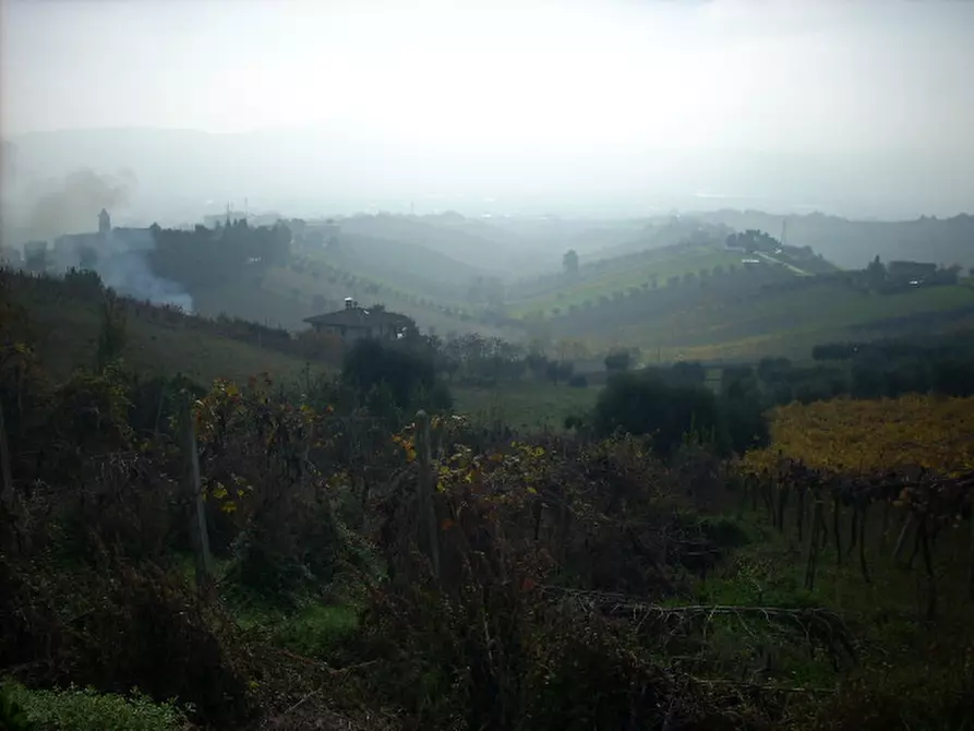 Immagine 5 di Rustico / casale in vendita  in Via Borgo da monte a Monteprandone