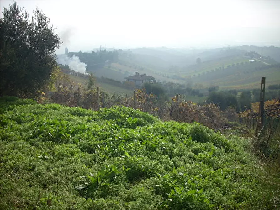 Immagine 8 di Rustico / casale in vendita  in Via Borgo da monte a Monteprandone