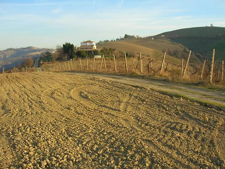 Immagine 8 di Casa indipendente in vendita  in San Savino di Ripatransone a Ripatransone