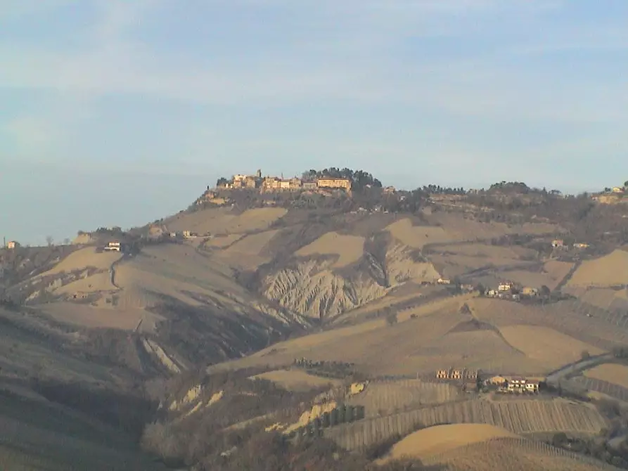 Immagine 14 di Casa indipendente in vendita  in San Savino di Ripatransone a Ripatransone