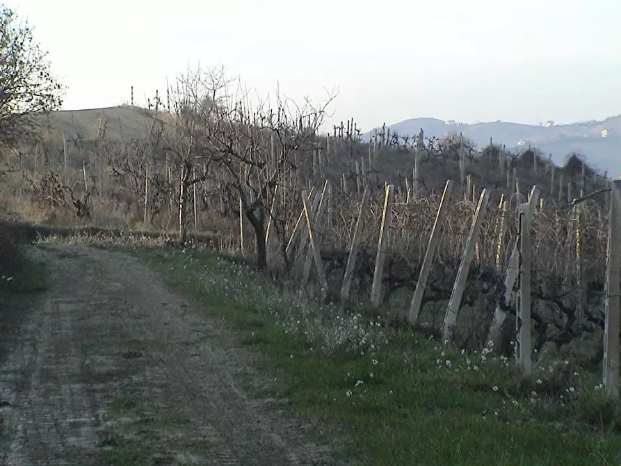 Immagine 15 di Casa indipendente in vendita  in San Savino di Ripatransone a Ripatransone