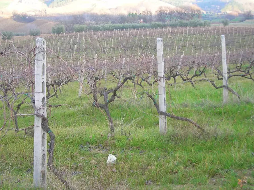 Immagine 5 di Casa indipendente in vendita  in San Savino di Ripatransone a Ripatransone
