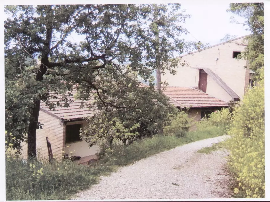 Immagine 3 di Rustico / casale in vendita  in Via Indipendenza a Carassai