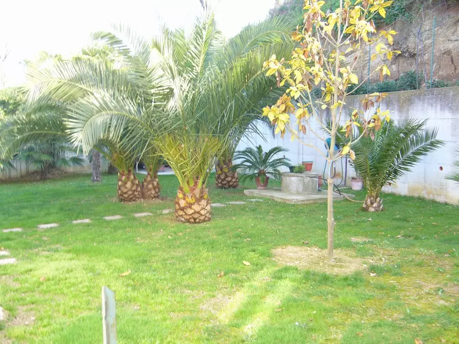 Immagine 9 di Casa indipendente in vendita  in della resistenza a Acquaviva Picena