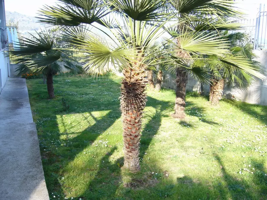 Immagine 10 di Casa indipendente in vendita  in della resistenza a Acquaviva Picena