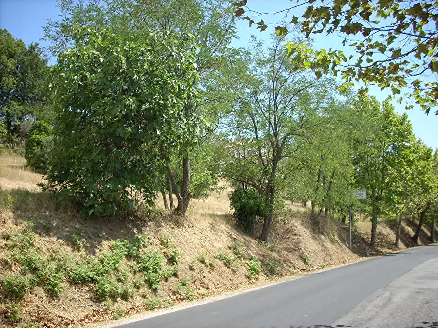 Immagine 1 di Terreno residenziale in vendita  in Contrada Giardino a Colonnella