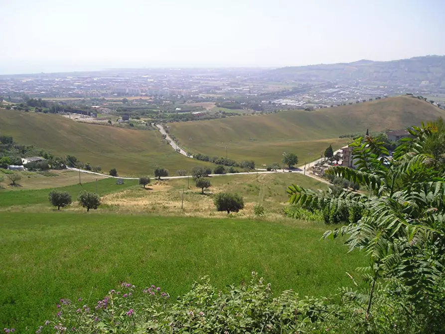 Immagine 1 di Terreno agricolo in vendita  in Contrada Montecretaccio a Monteprandone
