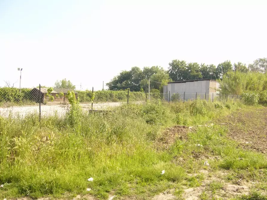 Immagine 2 di Capannone industriale in vendita  in Via Valtellina a San Benedetto Del Tronto