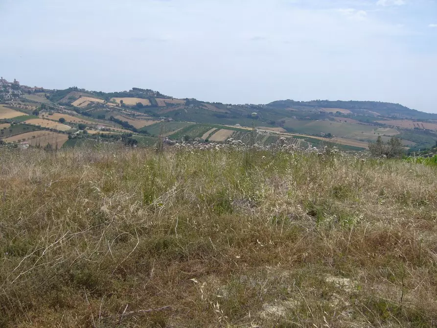 Immagine 5 di Rustico / casale in vendita  in Contrada Pignotto a Controguerra