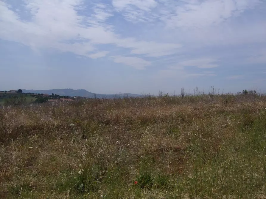 Immagine 6 di Rustico / casale in vendita  in Contrada Pignotto a Controguerra