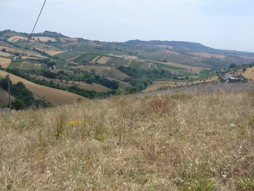Immagine 7 di Rustico / casale in vendita  in Contrada Pignotto a Controguerra