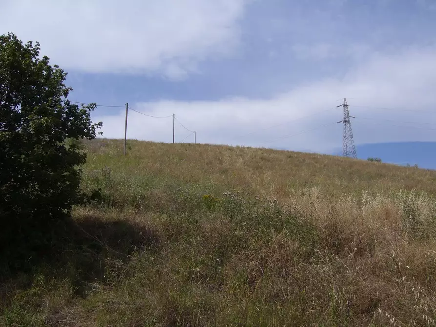 Immagine 10 di Rustico / casale in vendita  in Contrada Pignotto a Controguerra