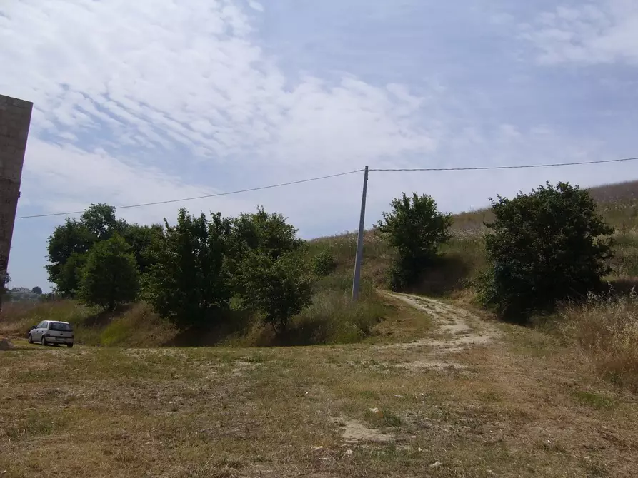 Immagine 11 di Rustico / casale in vendita  in Contrada Pignotto a Controguerra