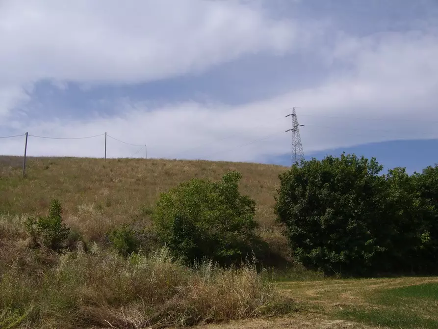 Immagine 12 di Rustico / casale in vendita  in Contrada Pignotto a Controguerra