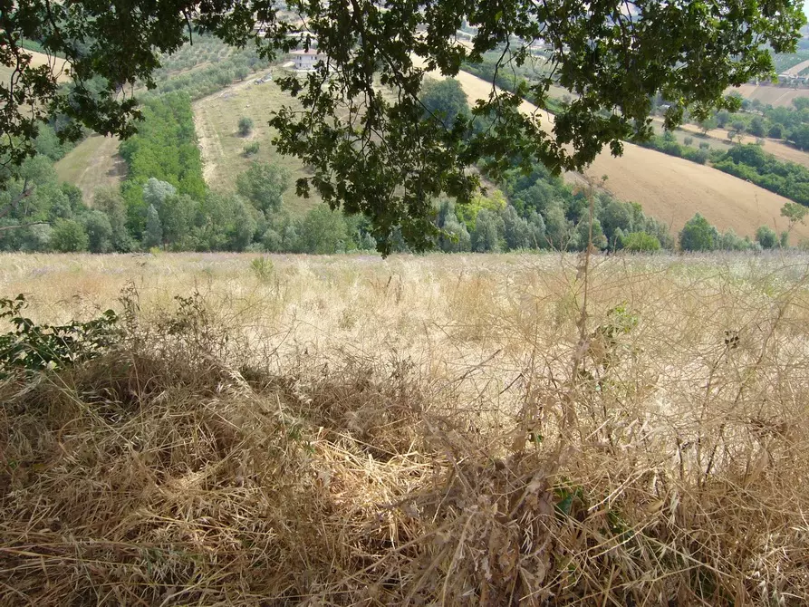 Immagine 13 di Rustico / casale in vendita  in Contrada Pignotto a Controguerra