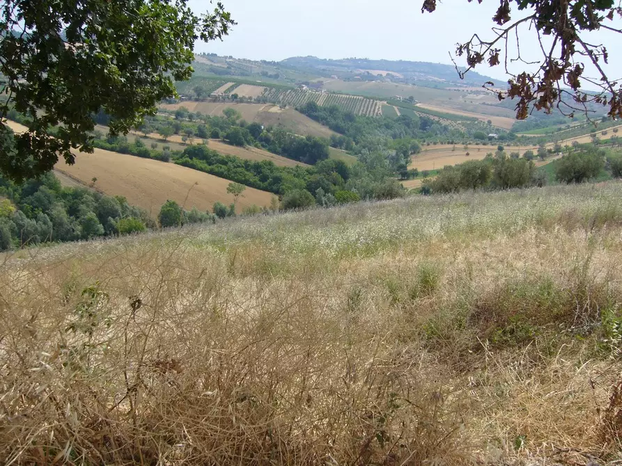 Immagine 14 di Rustico / casale in vendita  in Contrada Pignotto a Controguerra