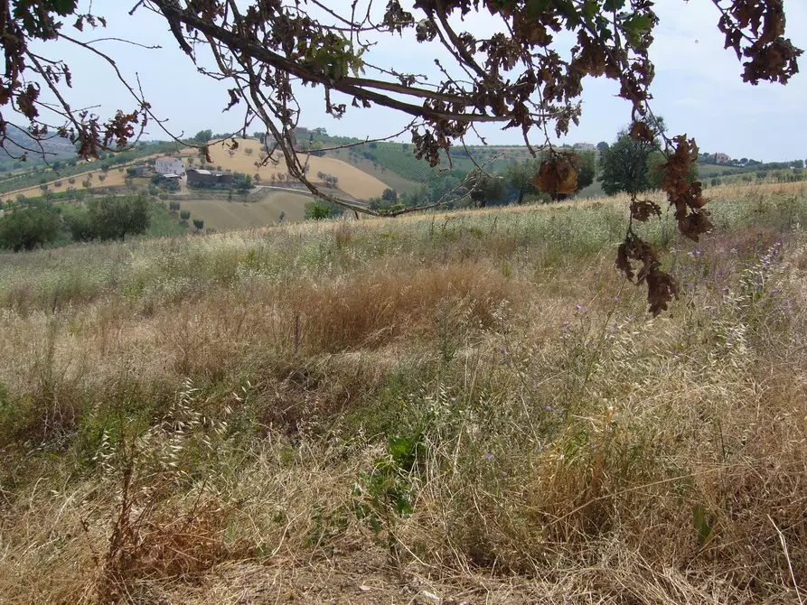 Immagine 15 di Rustico / casale in vendita  in Contrada Pignotto a Controguerra