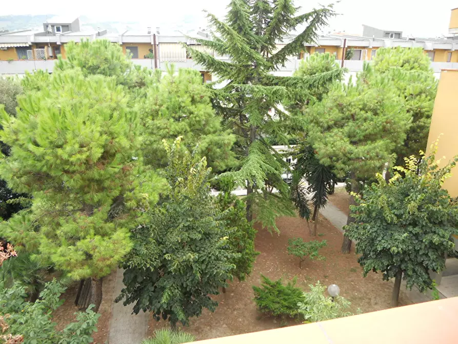 Immagine 16 di Appartamento in vendita  in Via Liberazione a Monteprandone