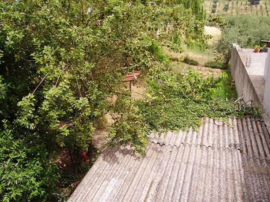 Immagine 21 di Casa indipendente in vendita  in Via Papa Giovanni XXIII a Nereto