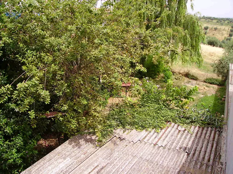 Immagine 9 di Casa indipendente in vendita  in Via Papa Giovanni XXIII a Nereto