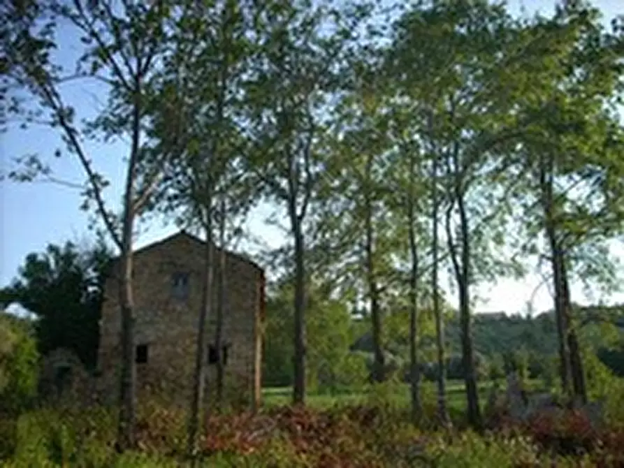 Immagine 3 di Rustico / casale in vendita  in Contrada Messieri a Ripatransone