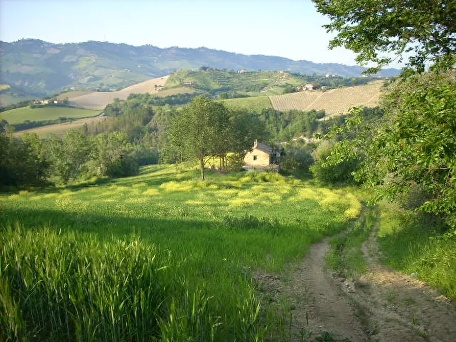 Immagine 1 di Rustico / casale in vendita  in Contrada Messieri a Ripatransone