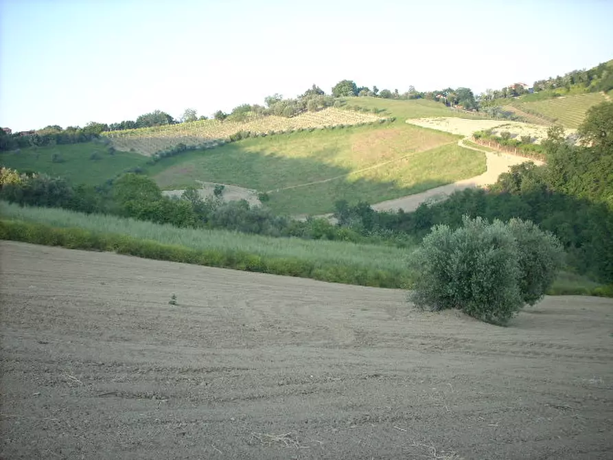 Immagine 6 di Rustico / casale in vendita  in Contrada Messieri a Ripatransone