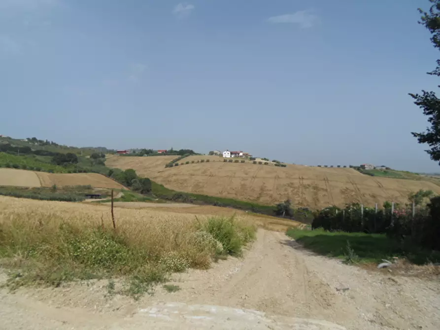 Immagine 1 di Terreno agricolo in vendita  a Colonnella