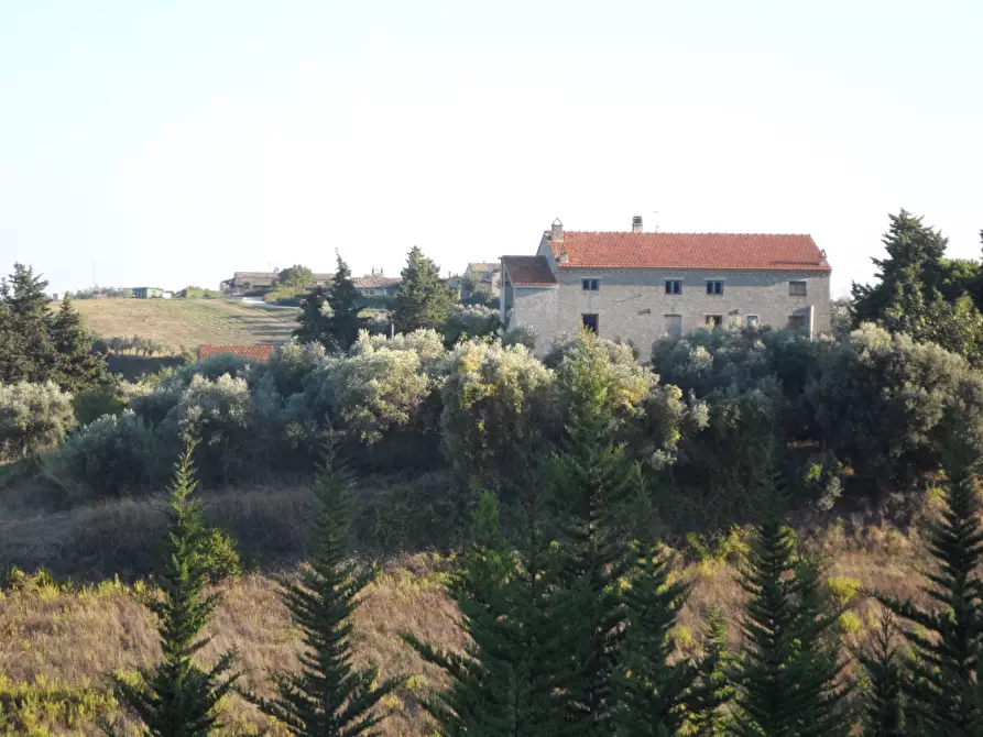 Immagine 1 di Rustico / casale in vendita  in Strada provinciale 78 a Ripatransone