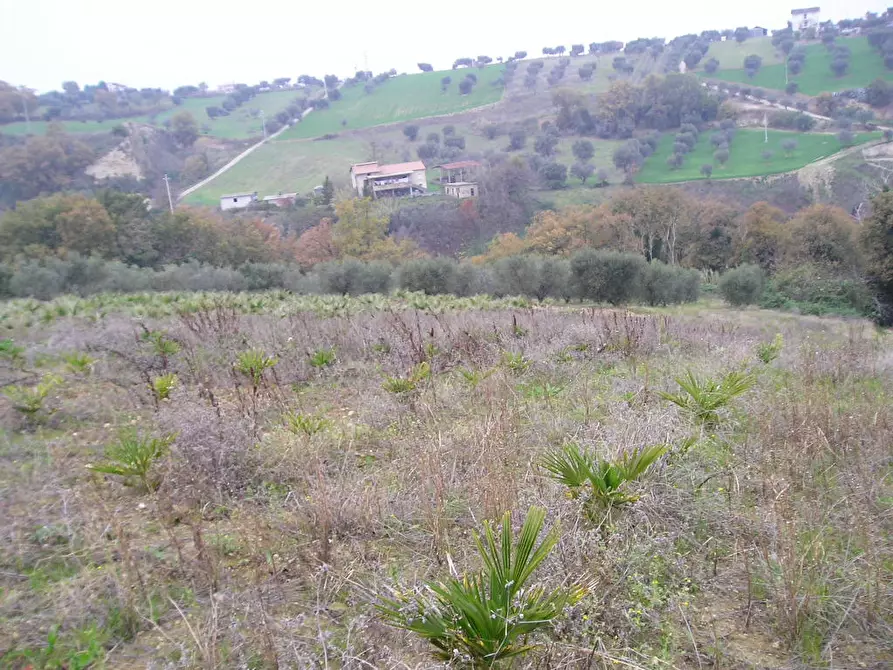 Immagine 1 di Casa indipendente in vendita  in Via Cuprense a Grottammare