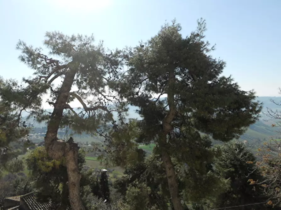 Immagine 14 di Casa indipendente in vendita  in Via Borgo Da Mare a Monteprandone