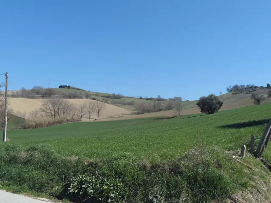 Immagine 7 di Terreno agricolo in vendita  in Contrada Camera di Torre a Fermo