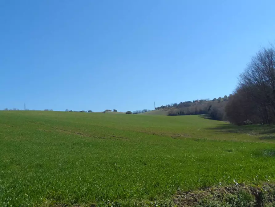 Immagine 9 di Terreno agricolo in vendita  in Contrada Camera di Torre a Fermo