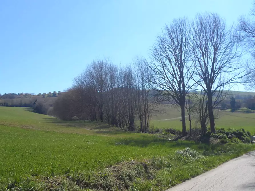Immagine 11 di Terreno agricolo in vendita  in Contrada Camera di Torre a Fermo
