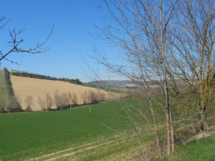 Immagine 12 di Terreno agricolo in vendita  in Contrada Camera di Torre a Fermo
