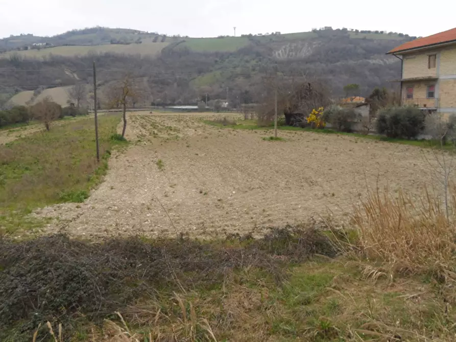 Immagine 1 di Terreno agricolo in vendita  in Piane di Tronto a Controguerra