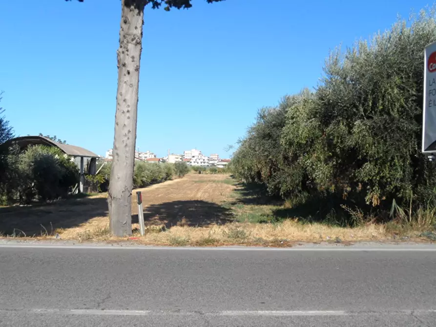 Immagine 2 di Terreno residenziale in vendita  in Strada Statale Adriatica a Alba Adriatica