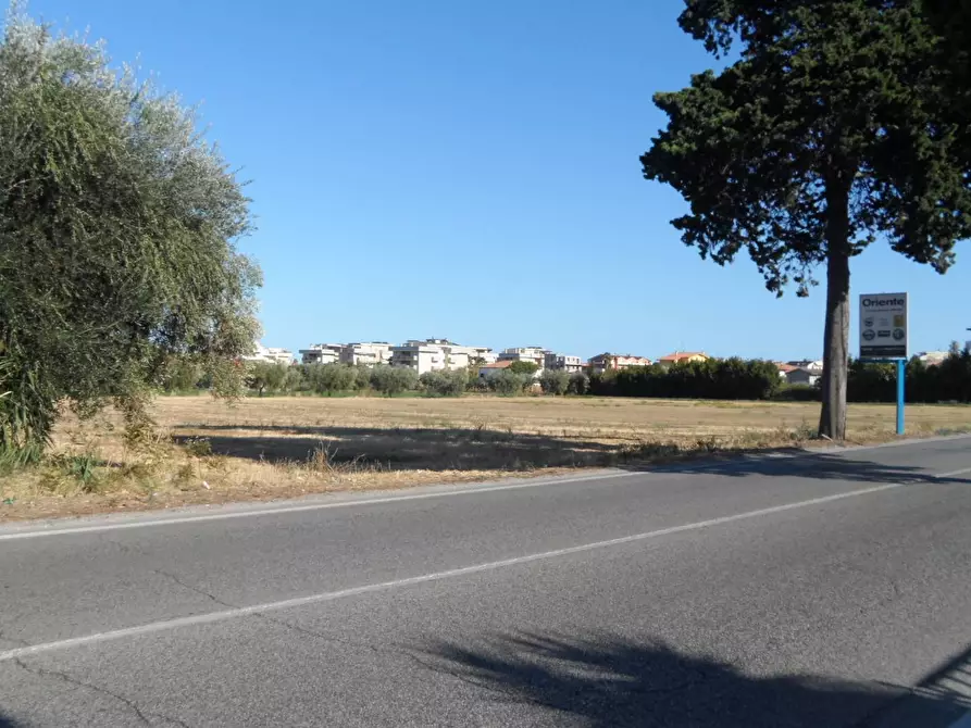 Immagine 3 di Terreno residenziale in vendita  in Strada Statale Adriatica a Alba Adriatica