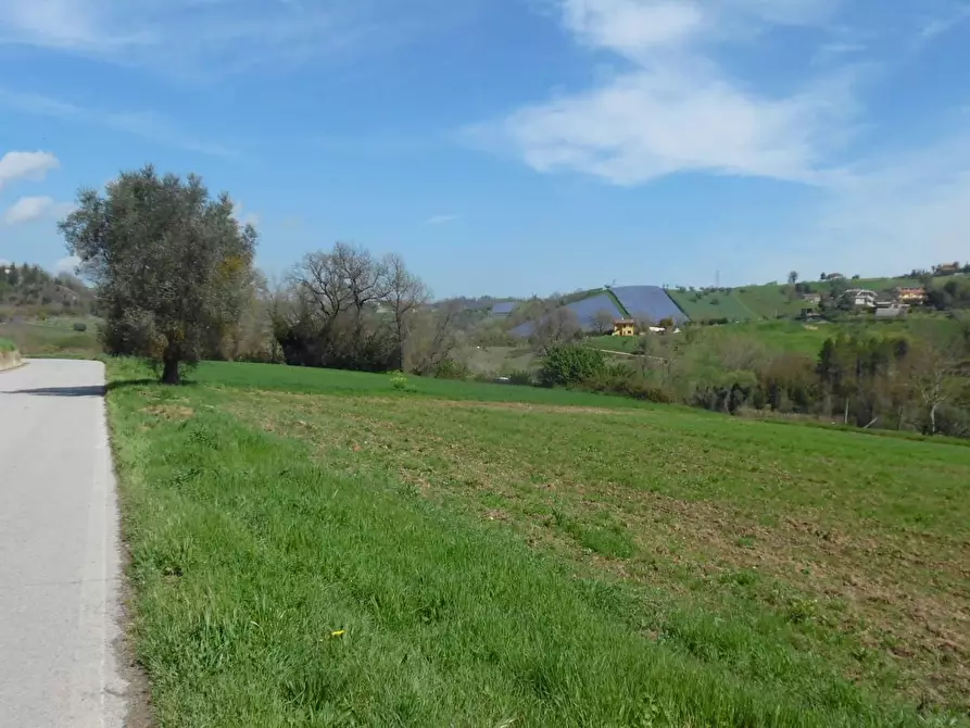 Immagine 1 di Terreno agricolo in vendita  in Via Salaria a Spinetoli