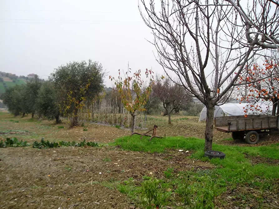 Immagine 2 di Casa indipendente in vendita  in Via Cuprense a Grottammare