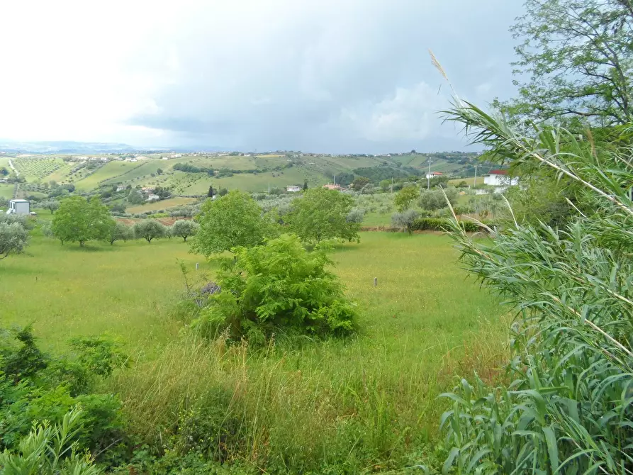 Immagine 1 di Terreno residenziale in vendita  in Contrada Rio Moro a Colonnella