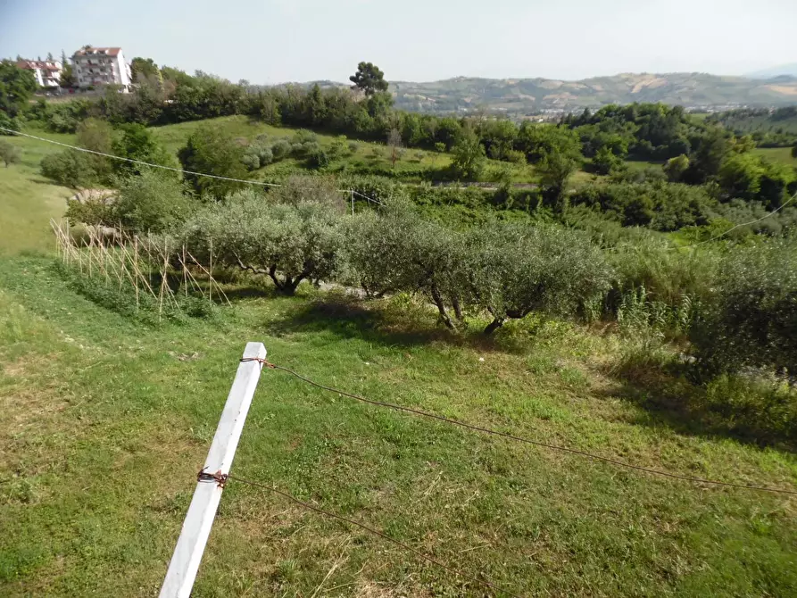 Immagine 22 di Casa indipendente in vendita  in Contrada Fontanelle a Monsampolo Del Tronto